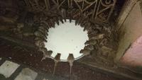 Hungrige Ratten im Karni-Mata-Tempel in Deshnok
