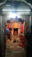 Im Rattentempel Karni Mata
