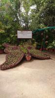 Im Sahelion Ki Bari Park Udaipur