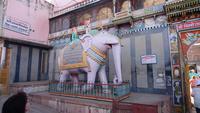 In Jodhpur