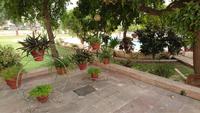 In Pushkar