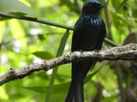 Indien, Kerala