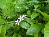 Indien, Kerala