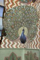 Jaipur1 (2)