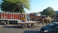 Kamelwagen, PKW, Truck... alles ist unterwegs auf den Straßen von Jodhpur