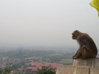 Kathmandu