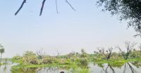 Koladeo Nationalpark (15)
