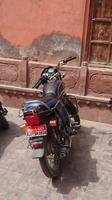 Mutters Geschenk (Mom's Gift) im Fort Junagarh in Bikaner