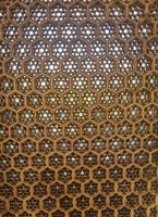 Rote Fort Agra (7)