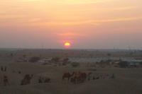 Sonnenuntergang in der Thar-Wüste