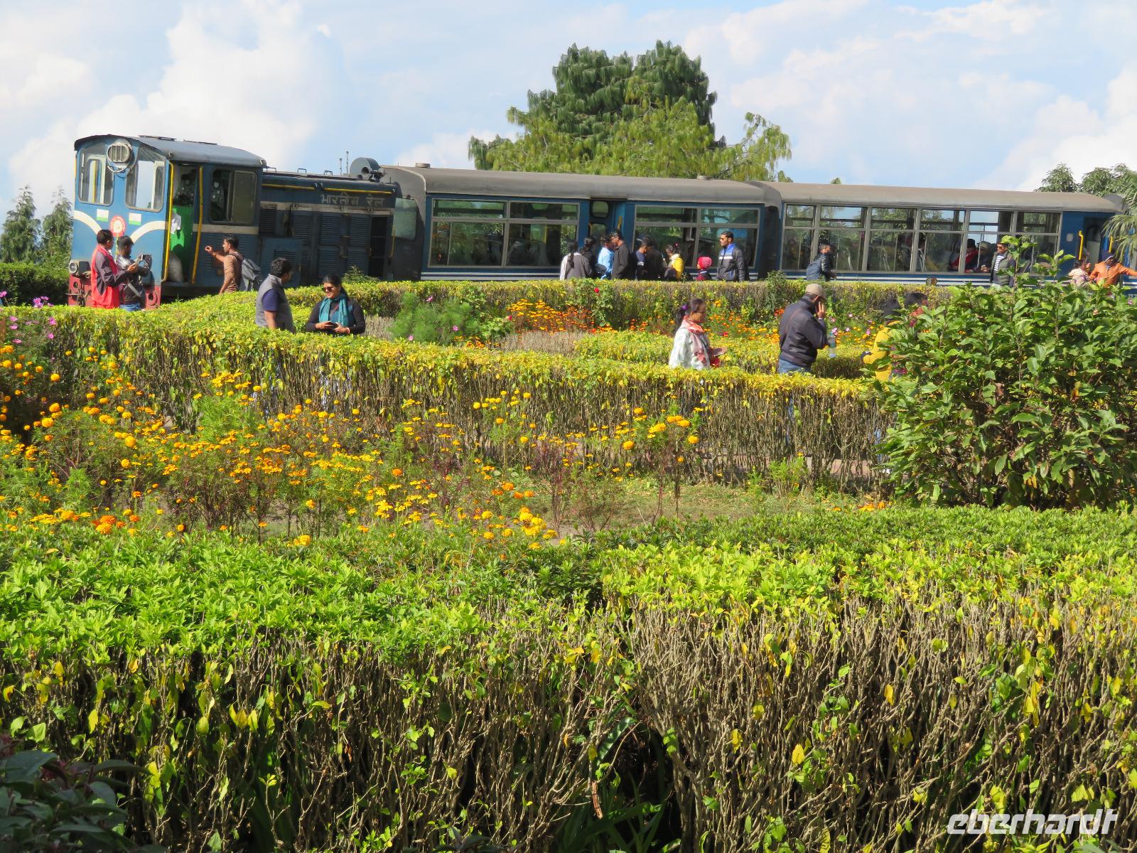 Toi Train 