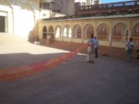 Turbanwickler