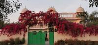 Unser Hotel wird von Bougainvilea überrankt, Ranthambhore Nationalpark