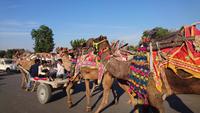 Ureinwohner unterwegs bei Bikaner