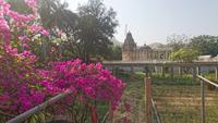 Weitere Tempel in Ranakpur