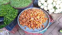 Wurzeln in Jodhpur