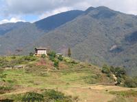 im Punakhatal