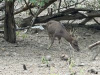 Komodo National Park &ndash; &copy; Sabine Reckord (Eberhardt TRAVEL)