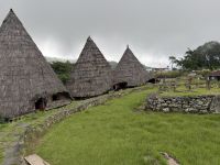 Todo, Flores &ndash; &copy; Sabine Reckord (Eberhardt TRAVEL)