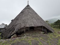 Todo, Flores &ndash; &copy; Sabine Reckord (Eberhardt TRAVEL)