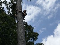 Arak Herstellung in Aimere, Flores &ndash; &copy; Sabine Reckord (Eberhardt TRAVEL)