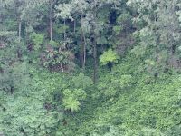 Wologai, Flores &ndash; &copy; Sabine Reckord (Eberhardt TRAVEL)