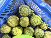 Markt in Ende, Flores &ndash; &copy; Sabine Reckord (Eberhardt TRAVEL)
