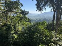 Affenwald, Lombok &ndash; &copy; Sabine Reckord (Eberhardt TRAVEL)