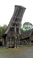 117 Sulawesi - typisches Torajahaus