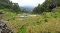 127 Sulawesi - typische Landschaft