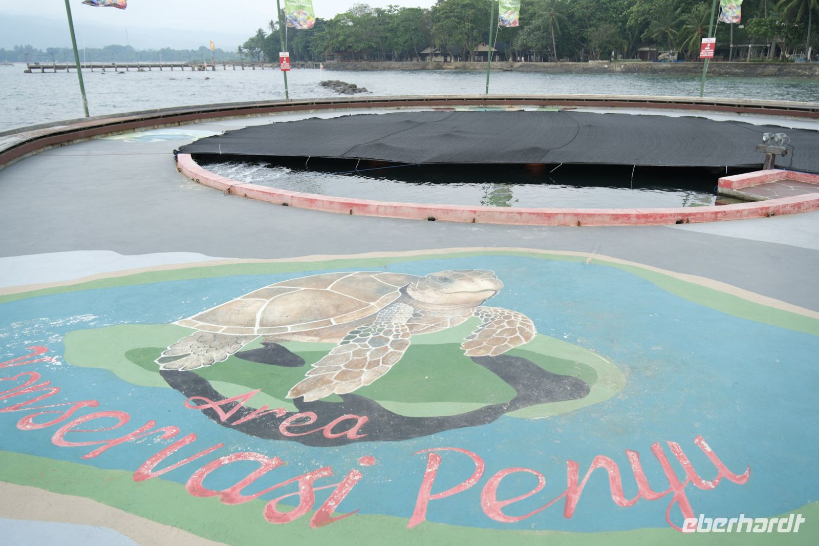 Meeresschildkröten- Beckem / Mutiara Carita Cottages - Indonesien