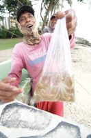 Fischer mit seiner Ausbeute - Indonesien