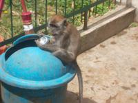 Wie 'rum hält man nun die Dose?