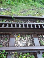 Im Gebirge fährt die Bahn mit Zahnrad-Unterstützung