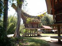 Reisspeicher eines Toraja-Gehöftes