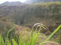 Erst vor ein paar Jahren entstanden