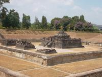 er lag unter einem Reisfeld ....