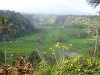 Blick ins Tal von Lebih
