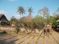 Idyllischer Tempelhof