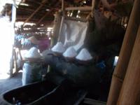 Nach der Verdunstung sammelt man das feinkörnige, jodhaltige Meersalz