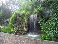 Im Orchideengarten von Singapur 