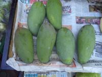 Mangos gibt es hier überall