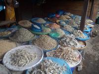 verschiedene Varianten von Trockenfische in Balige