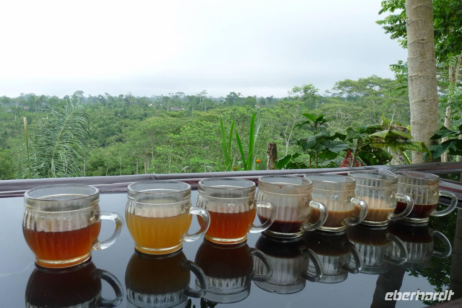 Tee- und Kaffeeverkostung auf der Farm 