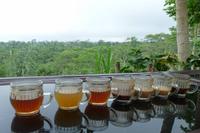 Tee- und Kaffeeverkostung auf der Farm 