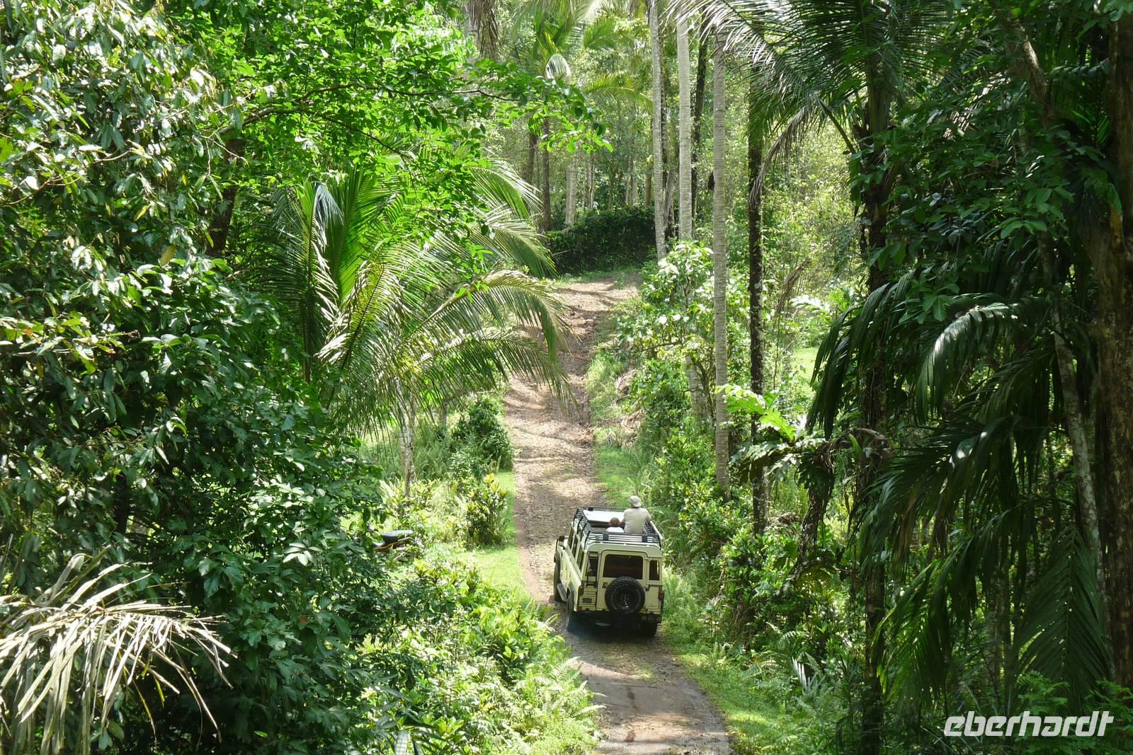 Jeepsafari durch Westbali &ndash; &copy;  (Eberhardt TRAVEL)