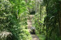 Jeepsafari durch Westbali &ndash; &copy; Frank Nimschowski (Eberhardt TRAVEL)