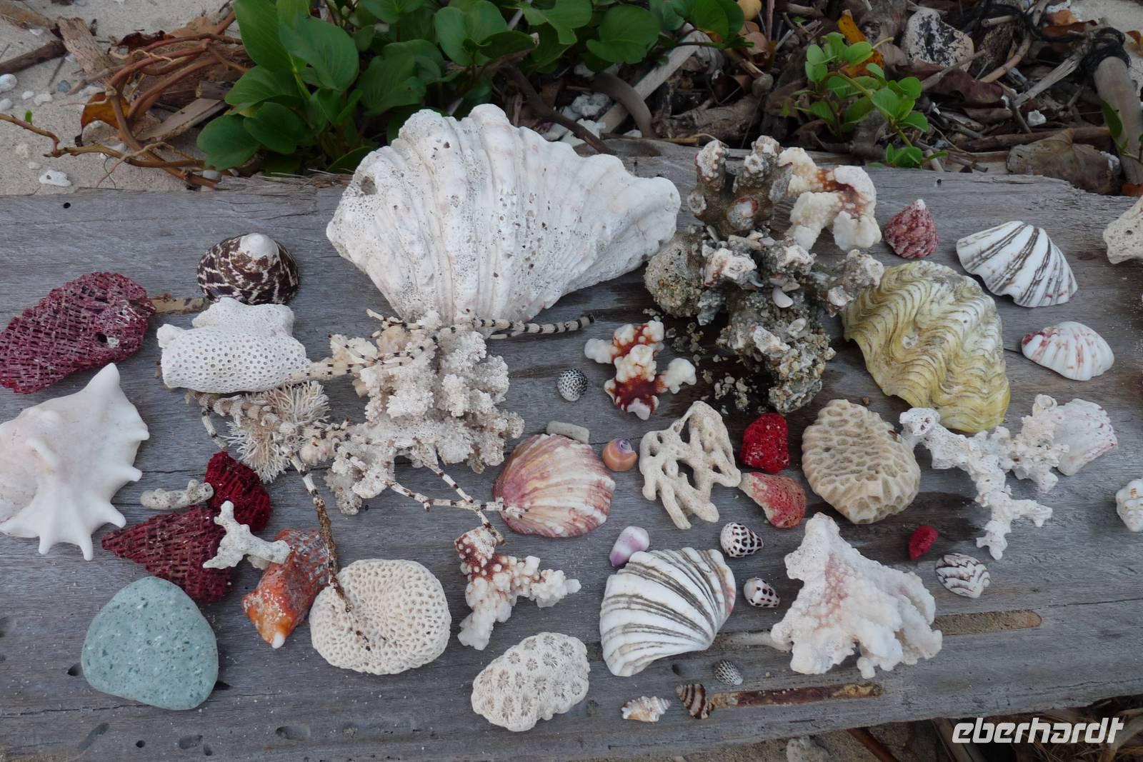 Am Strand von Bidadari &ndash; &copy;  (Eberhardt TRAVEL)