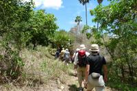 Insel Rinca, Komodo-Nationalpark &ndash; &copy; Frank Nimschowski (Eberhardt TRAVEL)
