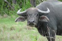 ... &ndash; &copy; Frank Nimschowski (Eberhardt TRAVEL)